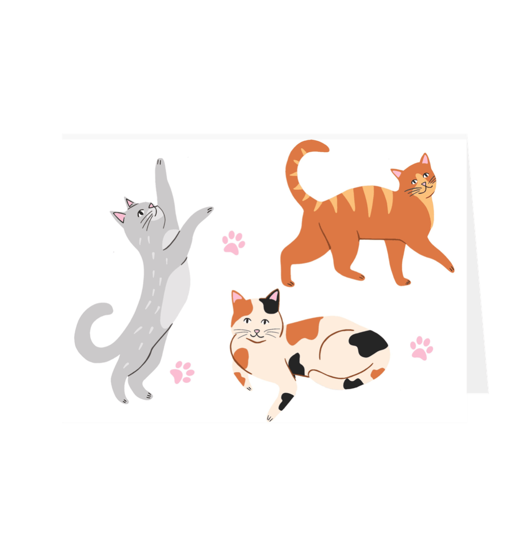 Playful Cats Greetings Card White 5