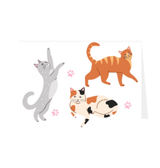 Playful Cats Greetings Card White 5