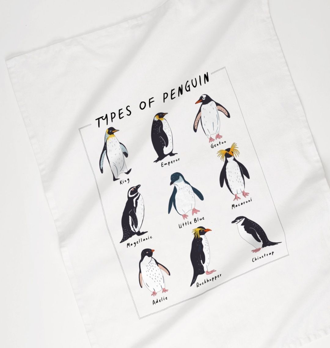 Organic Cotton Tea Towel Types Of Penguins